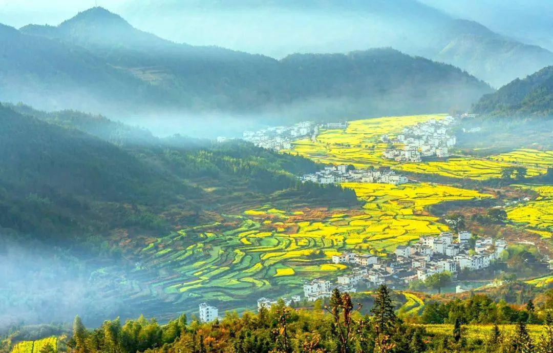 江西，红色沃土绽放绿色发展新彩